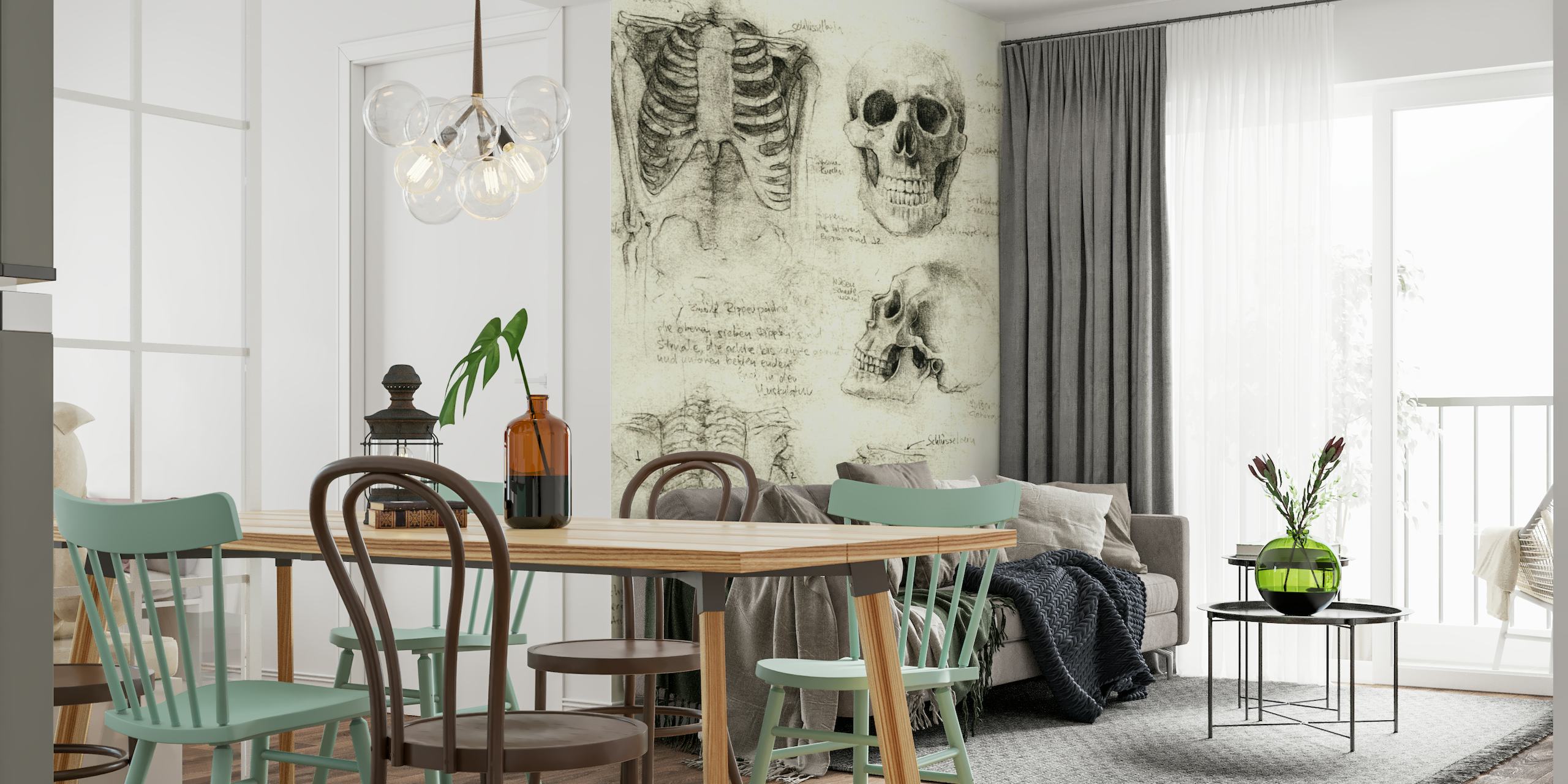 Esqueleto anatômico esboça mural de parede com desenhos detalhados de crânios e ossos humanos