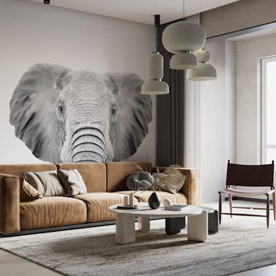 Elephant BW