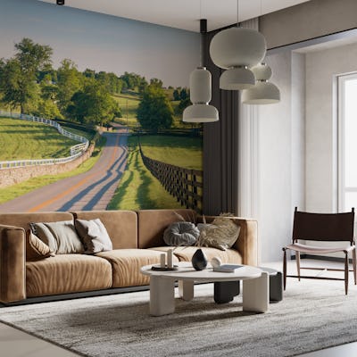 Countryside Road Scene