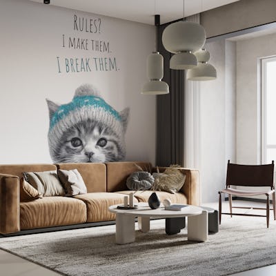 Cool cat – Cheeky Devil