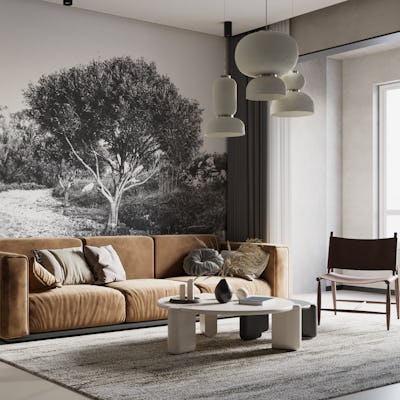 Olive Tree Garden