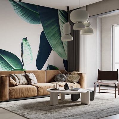 Ficus Elastica 26