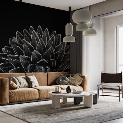 Black Agave Chic 1