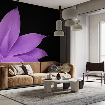 Agave Finesse 10