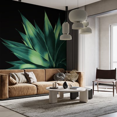 Agave Vivid Delight 2