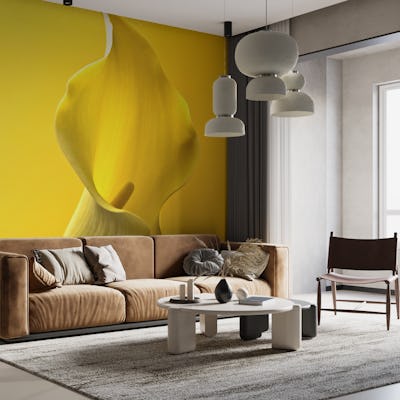 Calla Lily