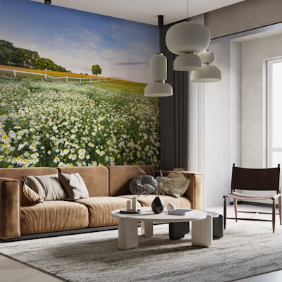 Daisyfield in Sweden
