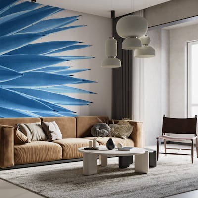 Classic Blue Agave Dream 1