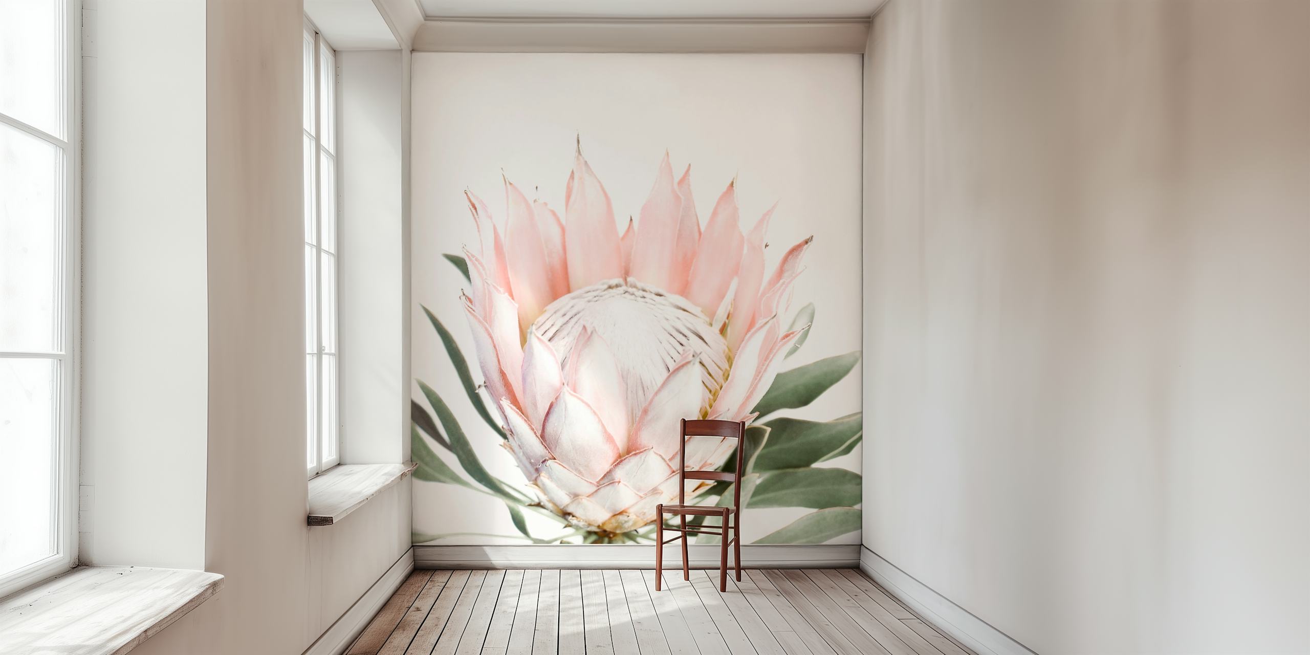 Fotomural vinílico de parede de flores Blush Pink Protea com fundo branco minimalista