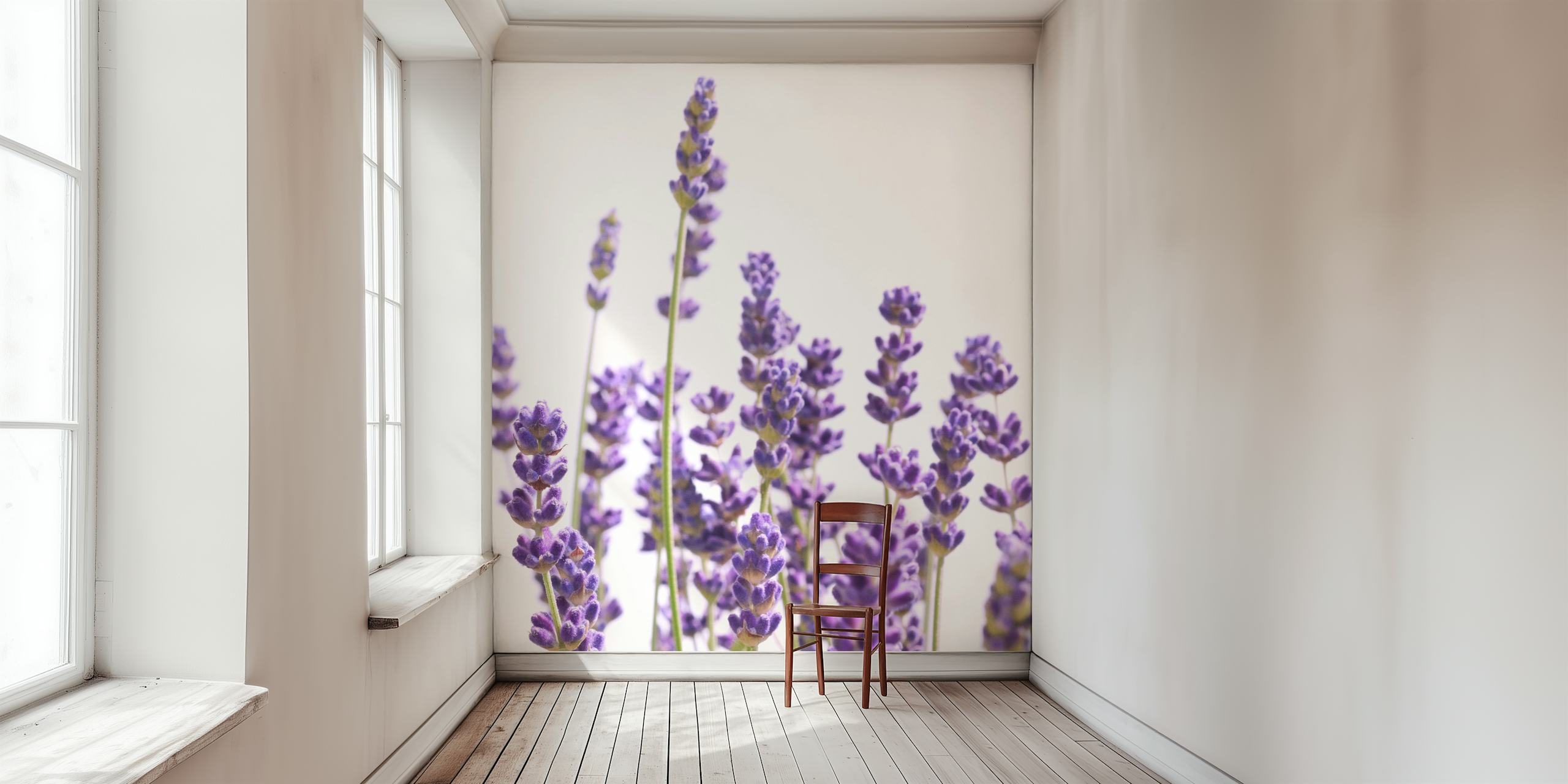 Purple lavender flowers against a light background wallpaper
