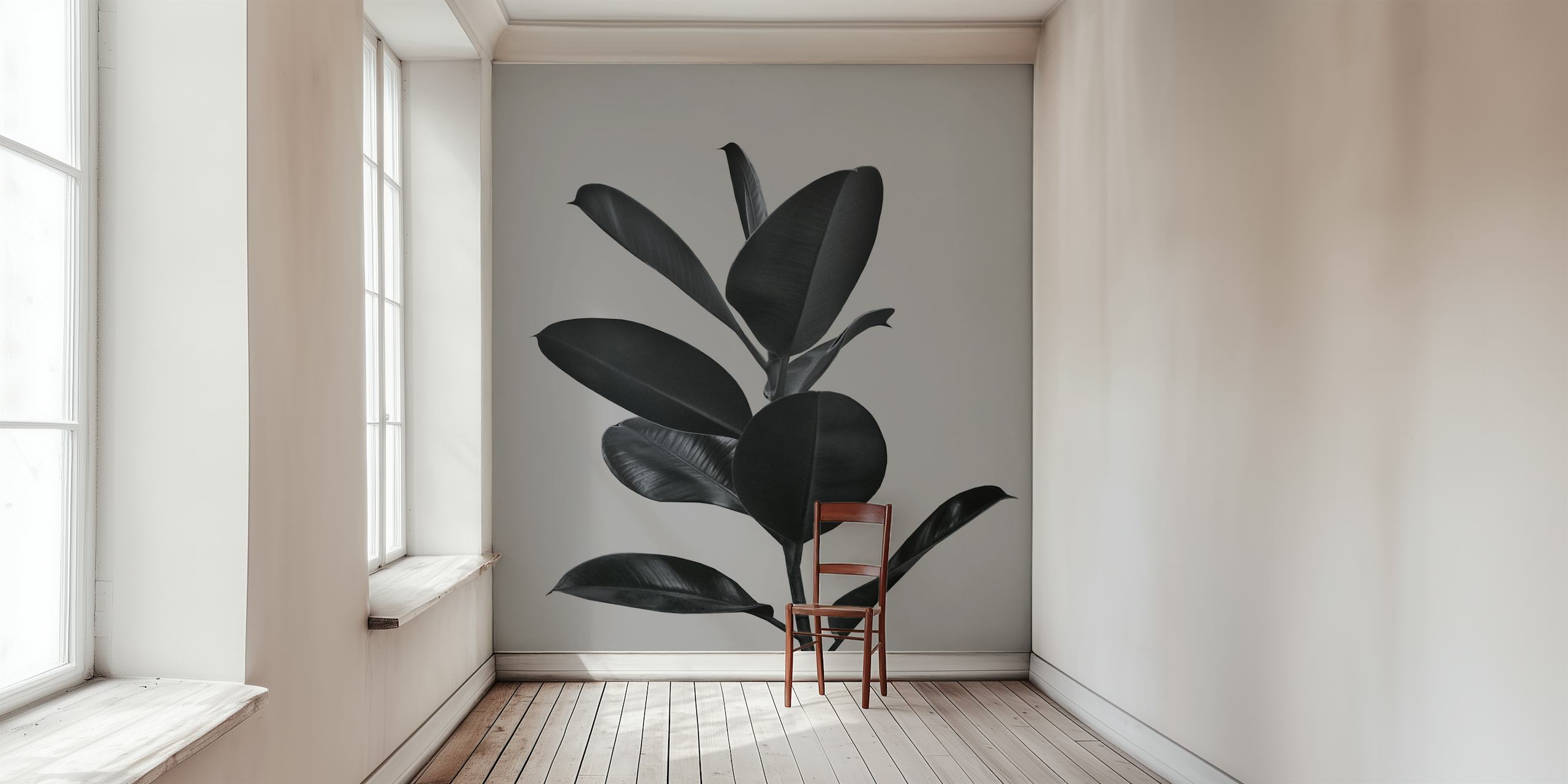 Monochroom fotobehang van een Ficusplant