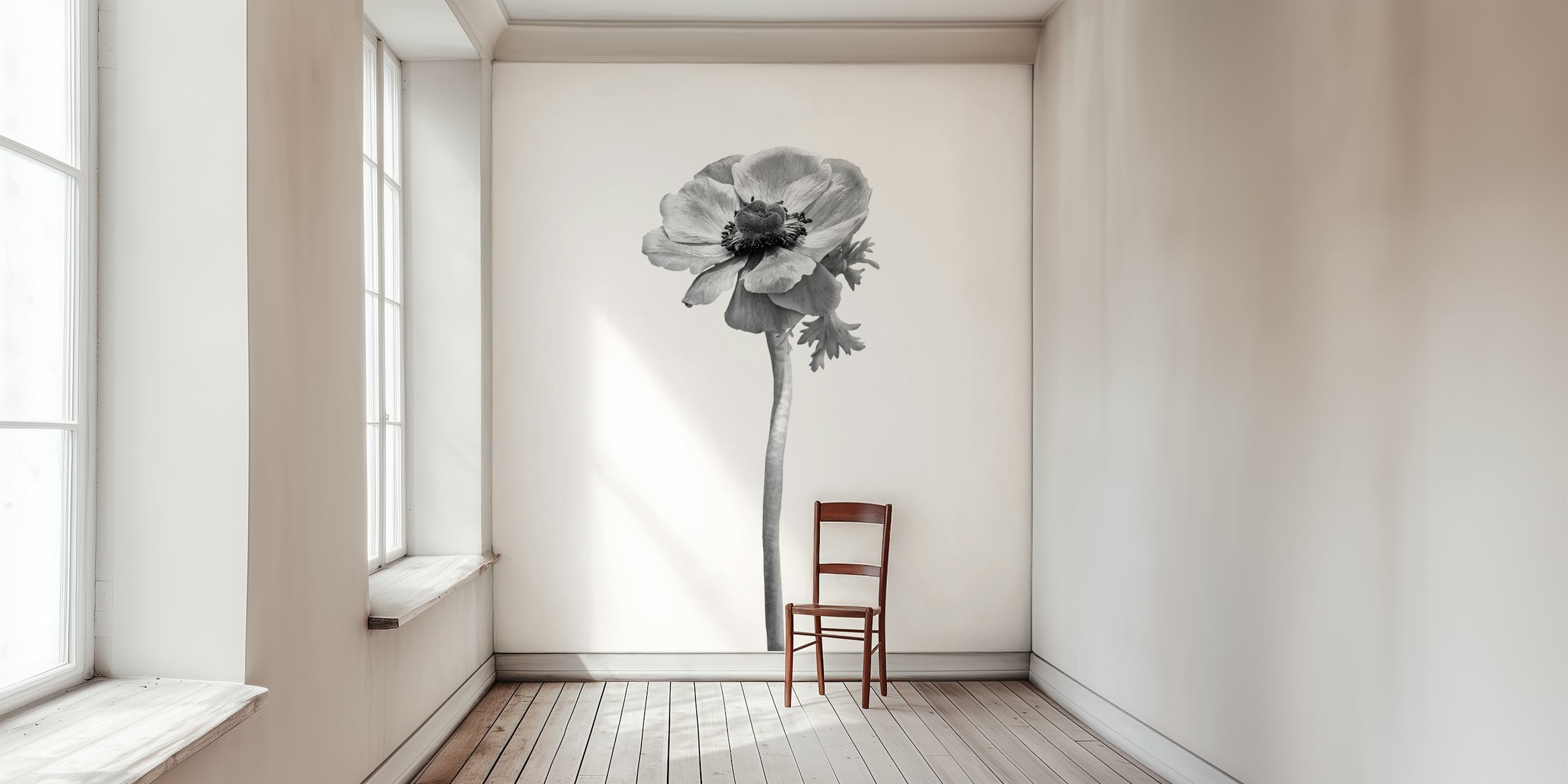 Anemone coronaria wallpaper in a room