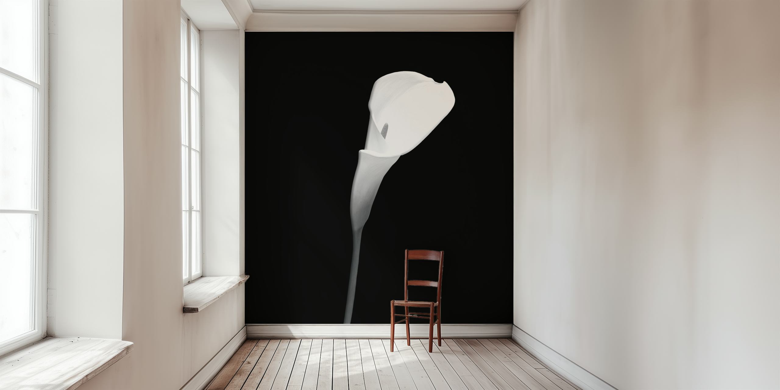 Mörk bakgrund med en enda vit calla lilja väggmålning