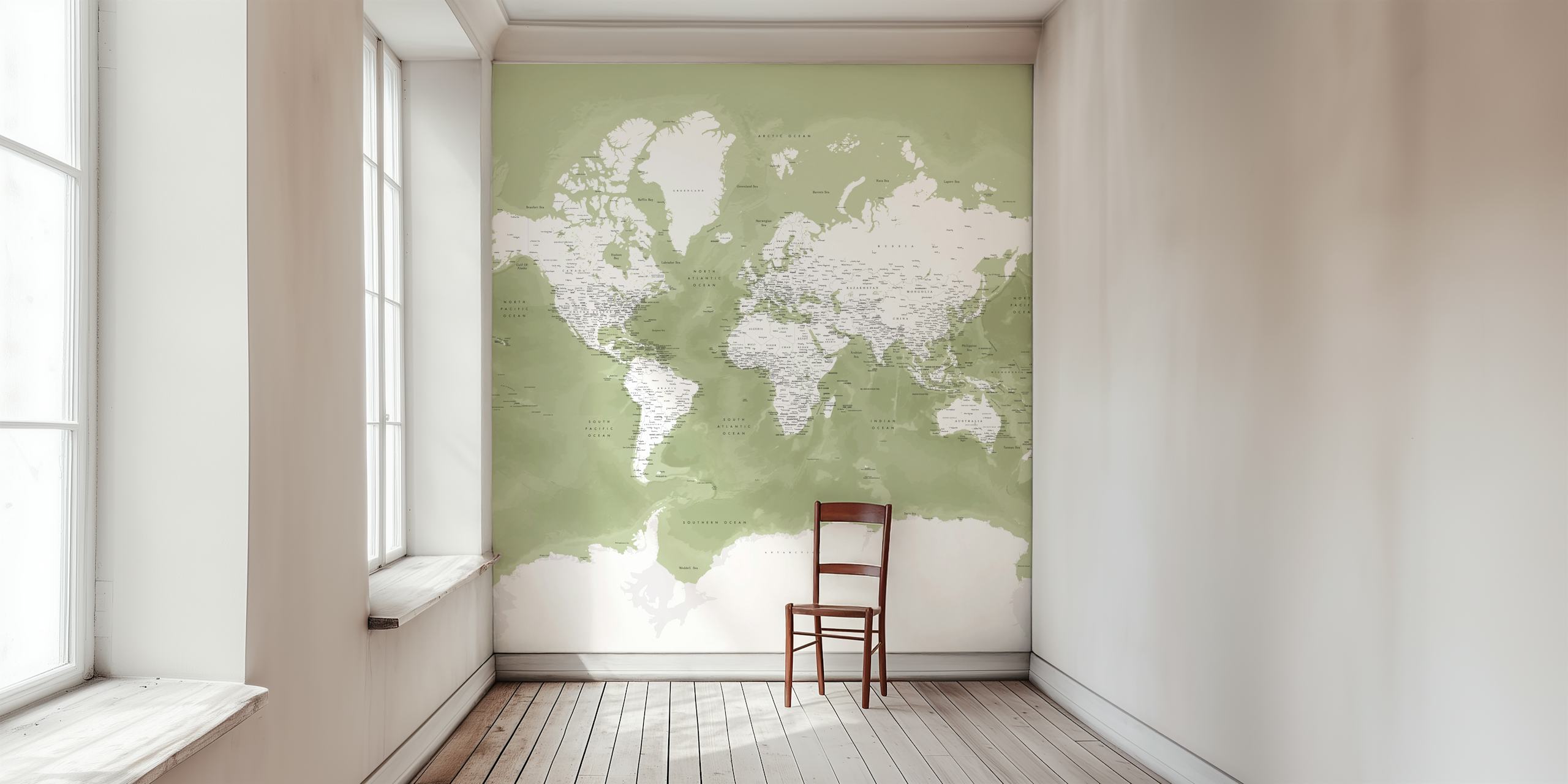 World Map Pacheco Antarctica wallpaper in a room