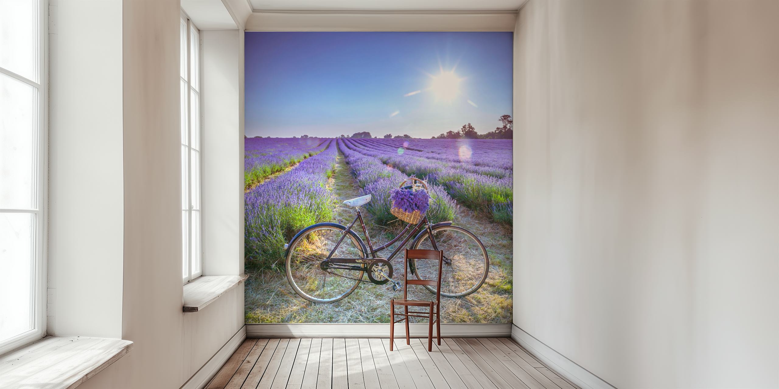 Bicycle in a lavender field with purple flowers wallpaper