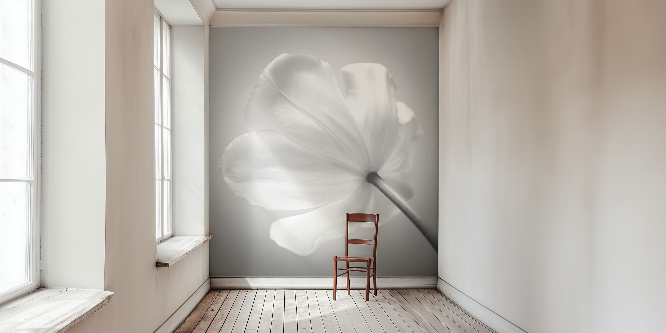 Elegant hvit tulipan tapet i et rom
