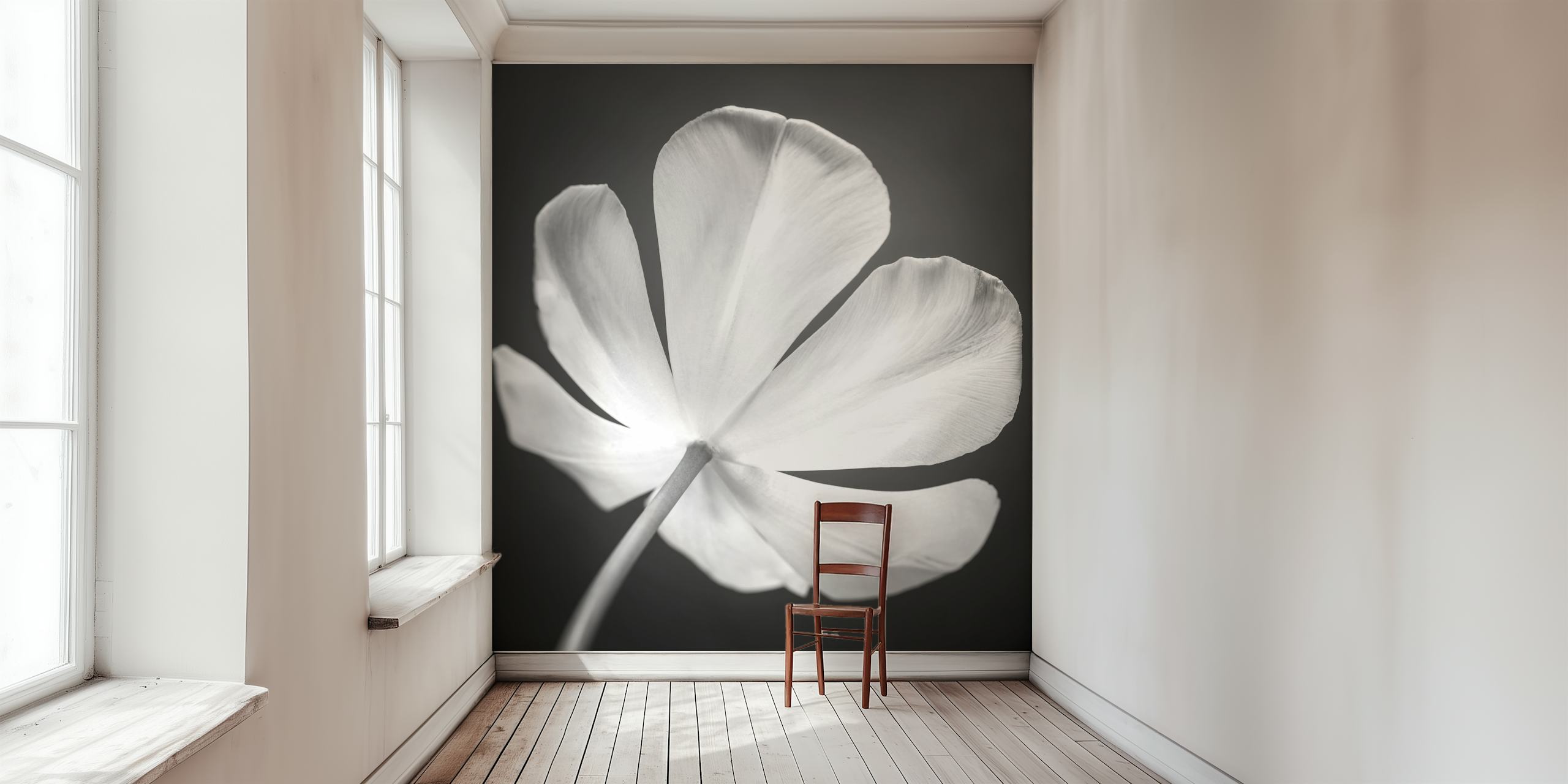 Black and white floral petal design wallpaper