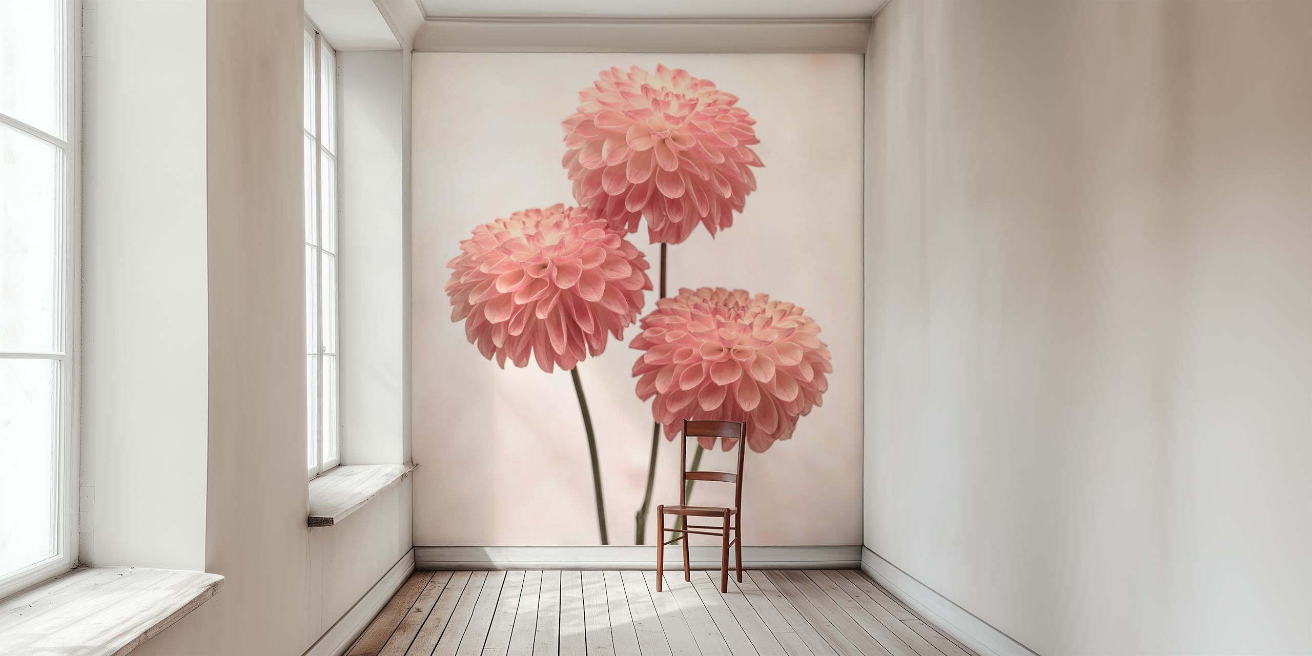 Pink floral wallpaper with large blooms and soft background