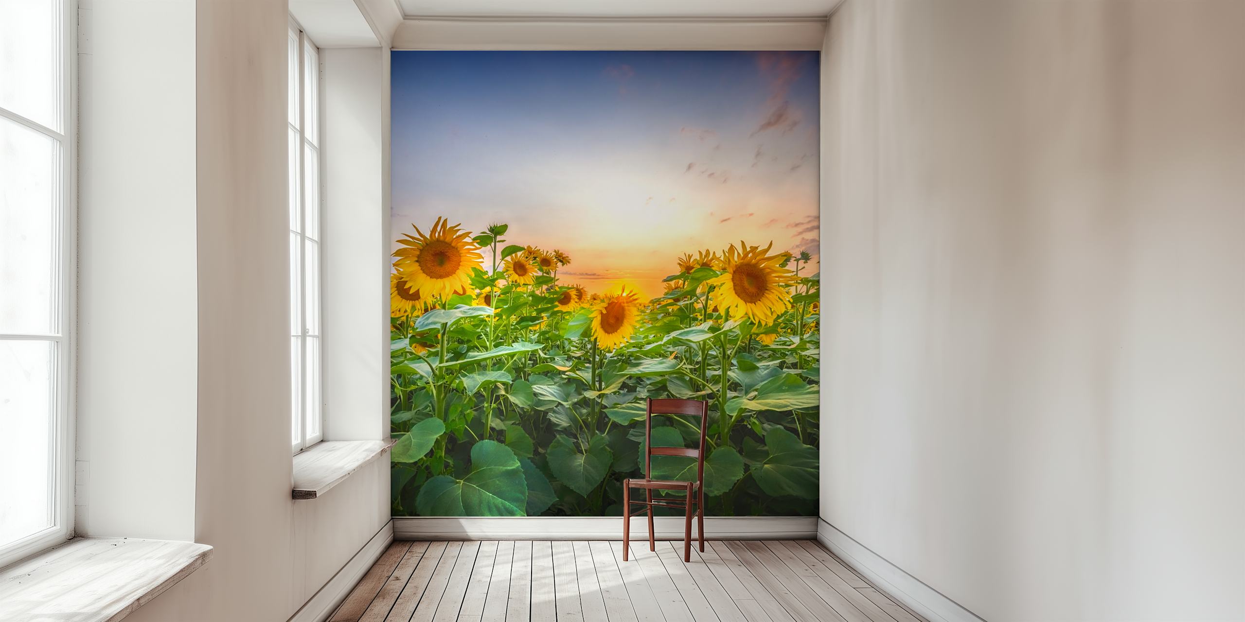Vibrant sunflowers with a sunset background in yellow and green wallpaper