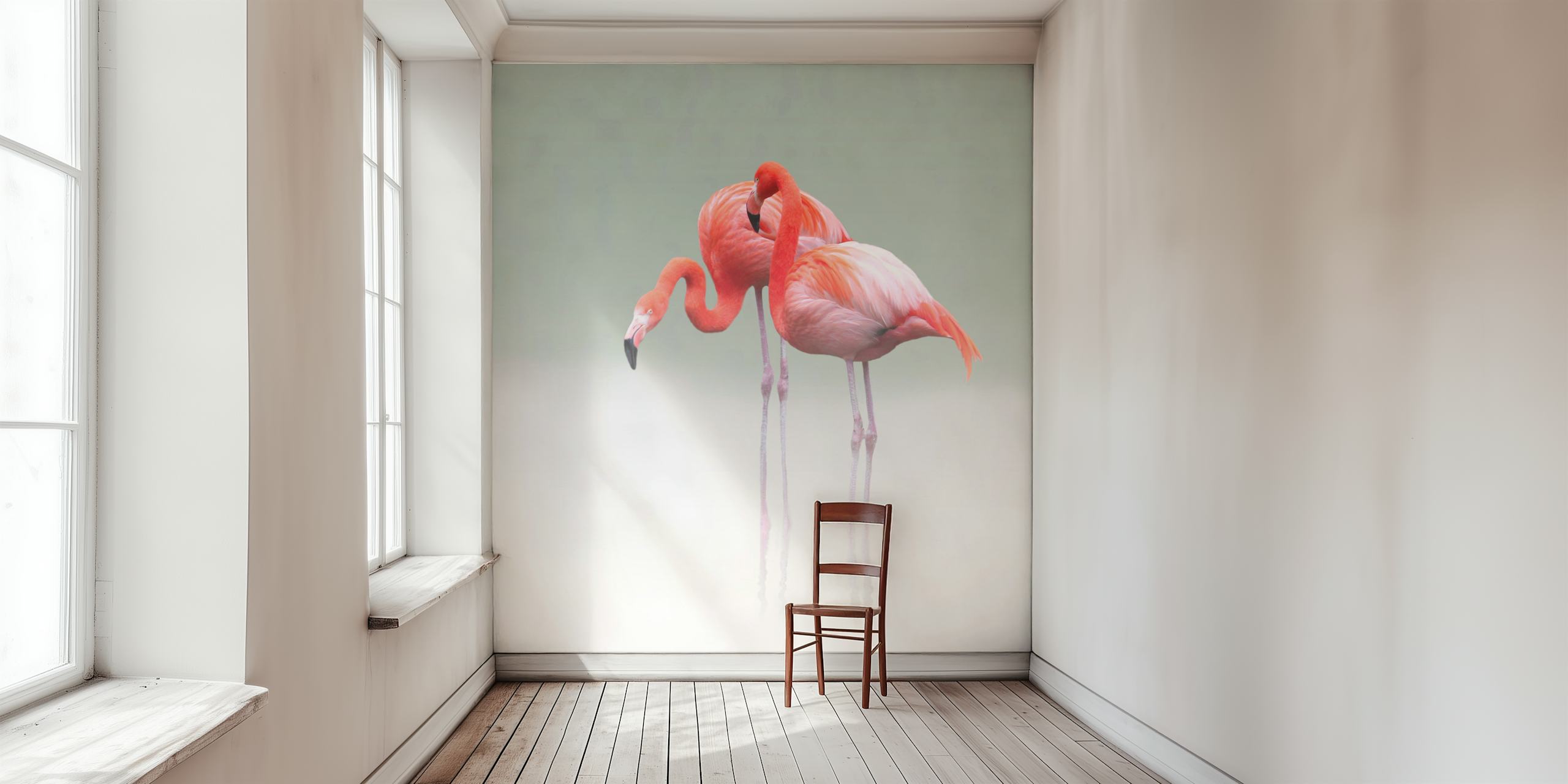Two pink flamingos standing on a soft mist background, tropical wallpaper