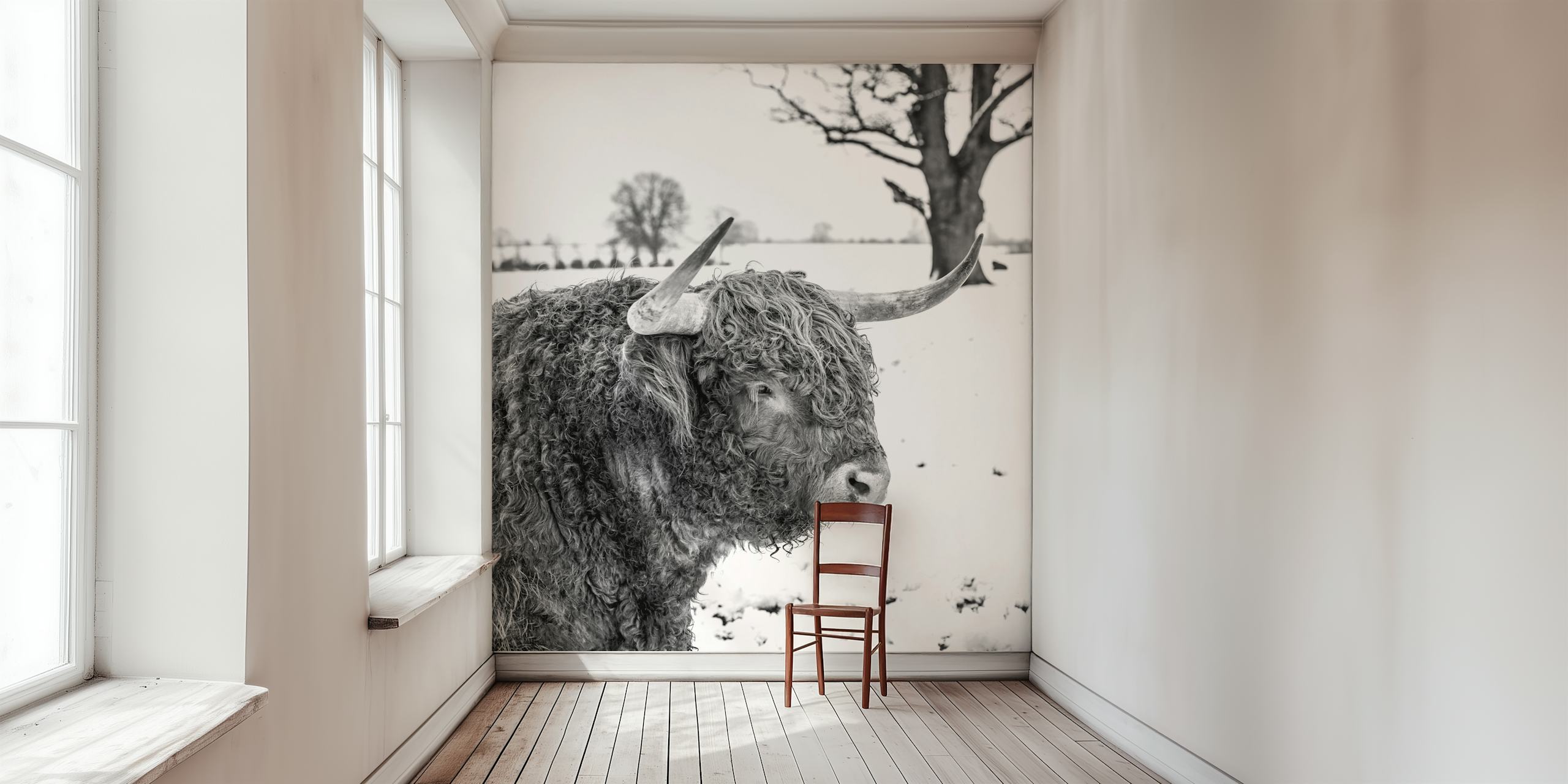 Iconic Highland Cow wallpaper in a room