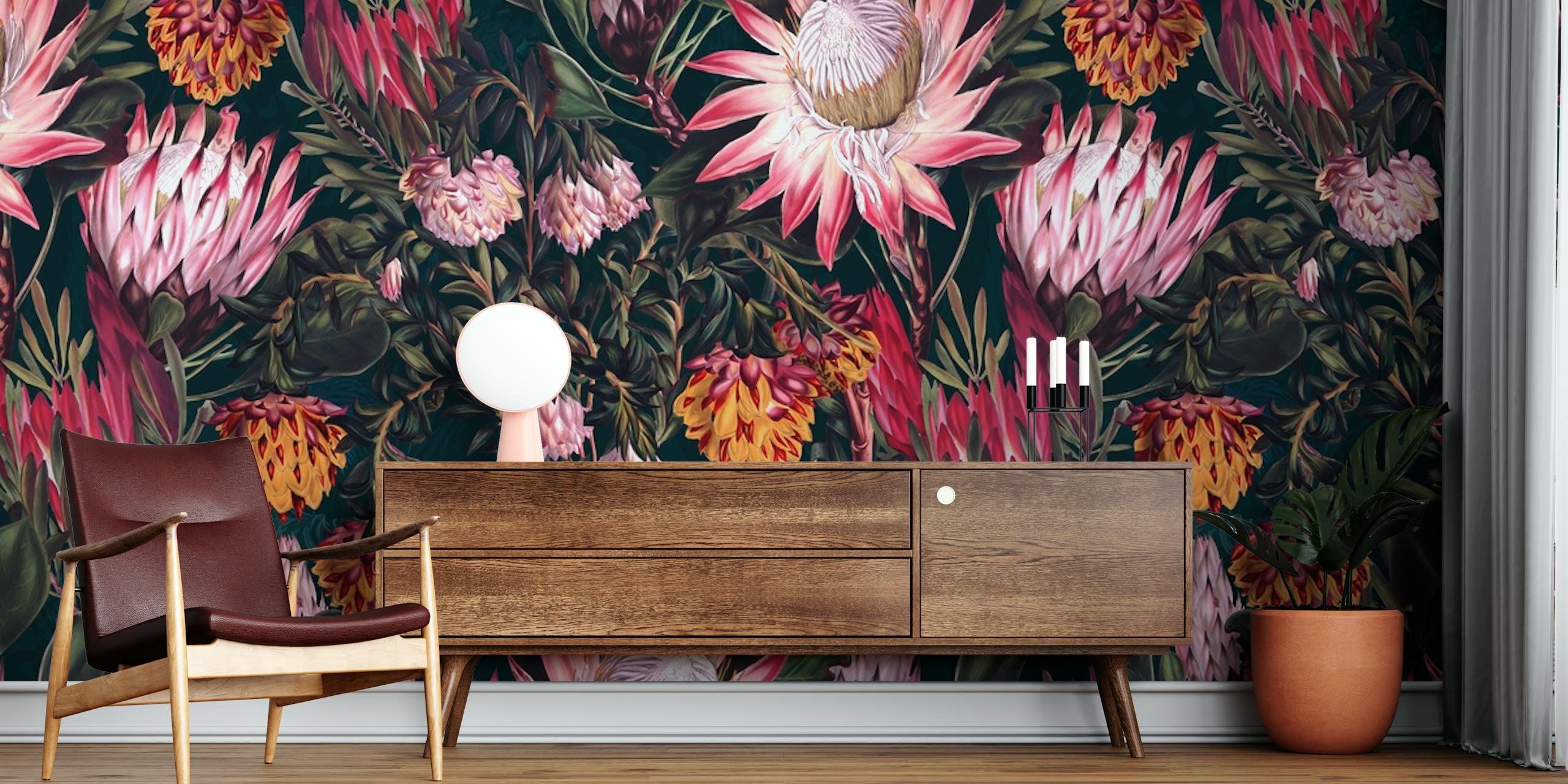 Fotomural flores y follaje de protea sobre fondo oscuro