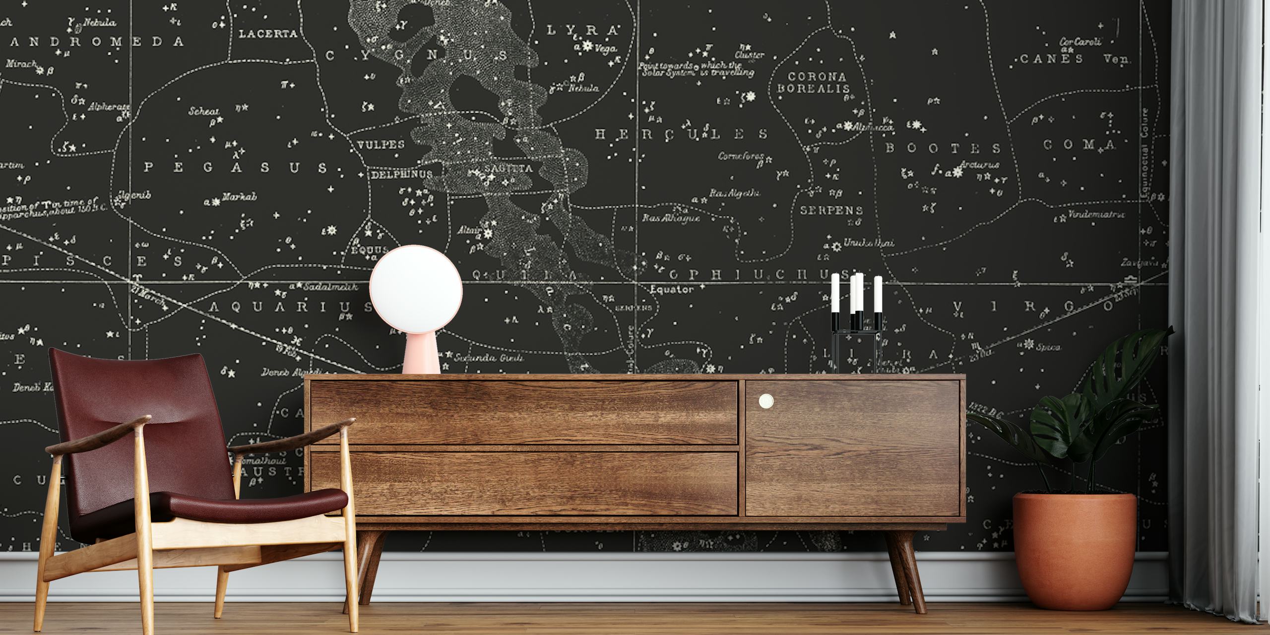Black and white wall mural featuring zodiac signs and constellations for interior decor