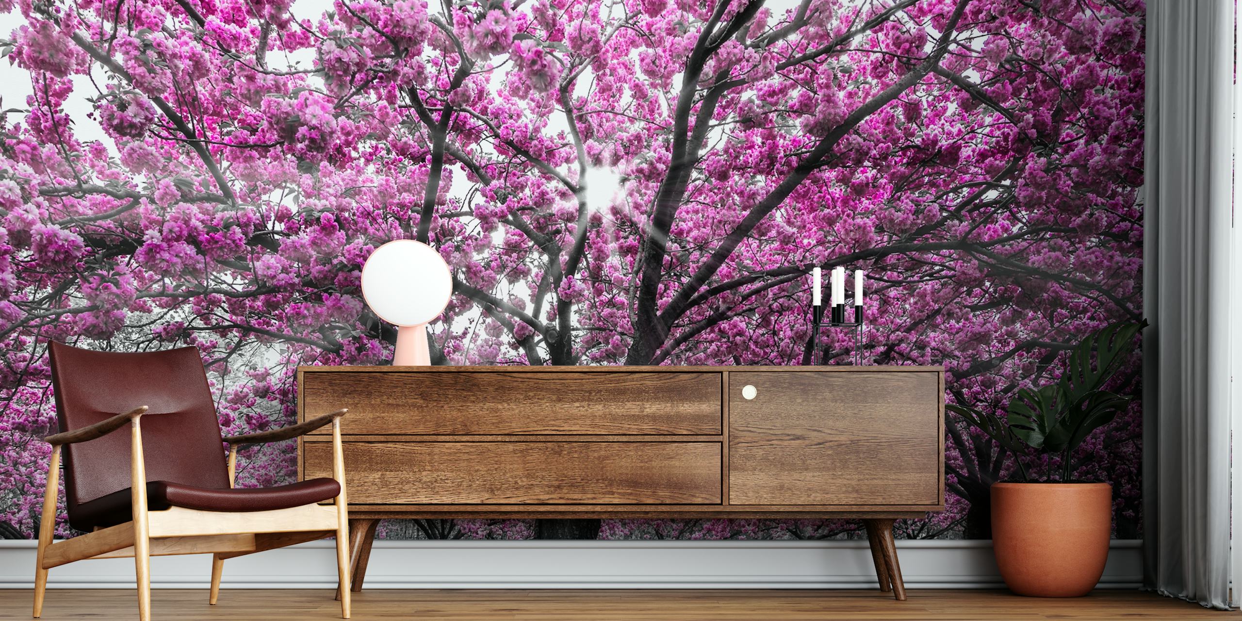 Cherry blossoms wallpaper w pokoju