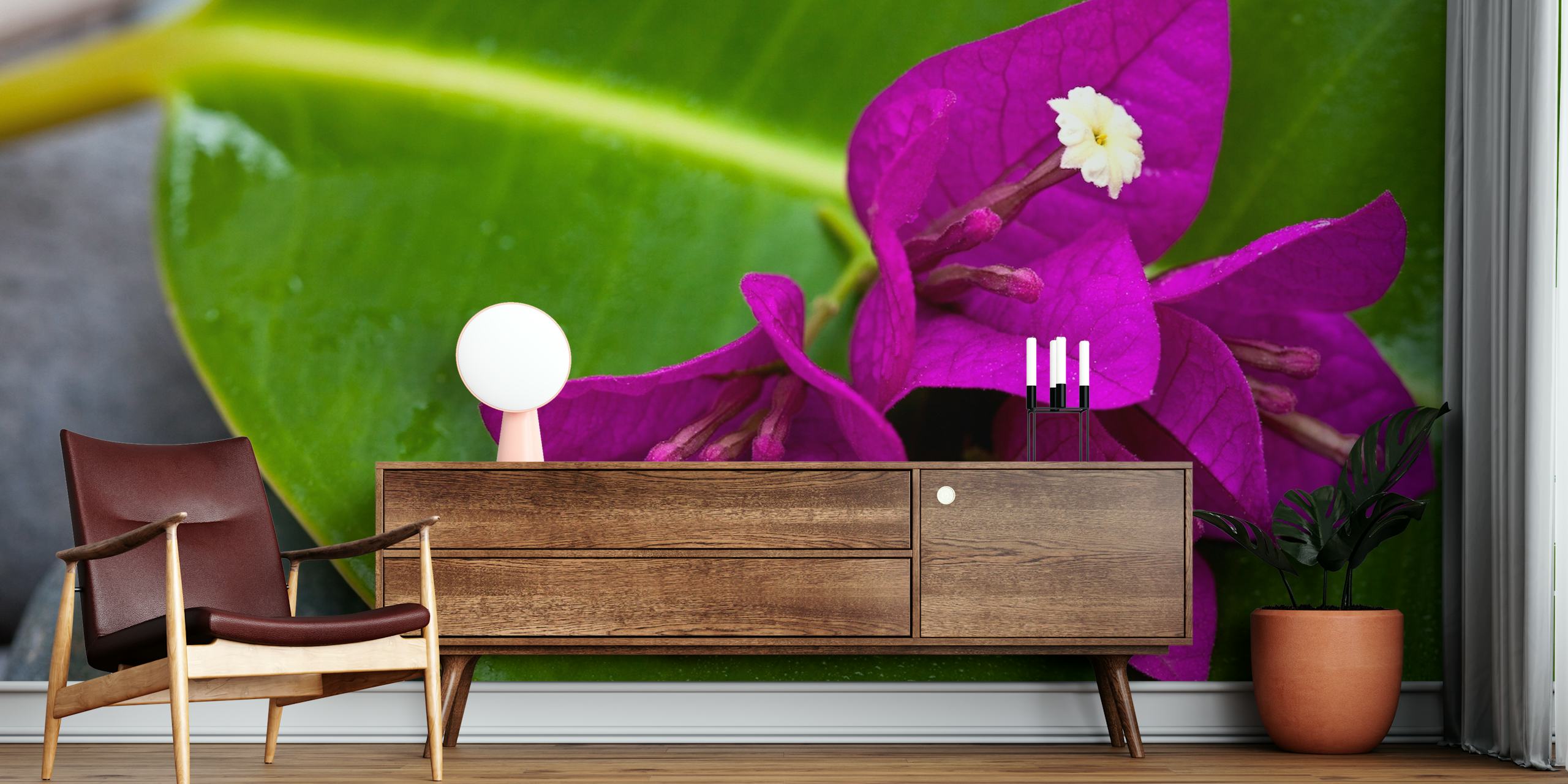 Purple bougainvillea flowers on a green leaf wallpaper