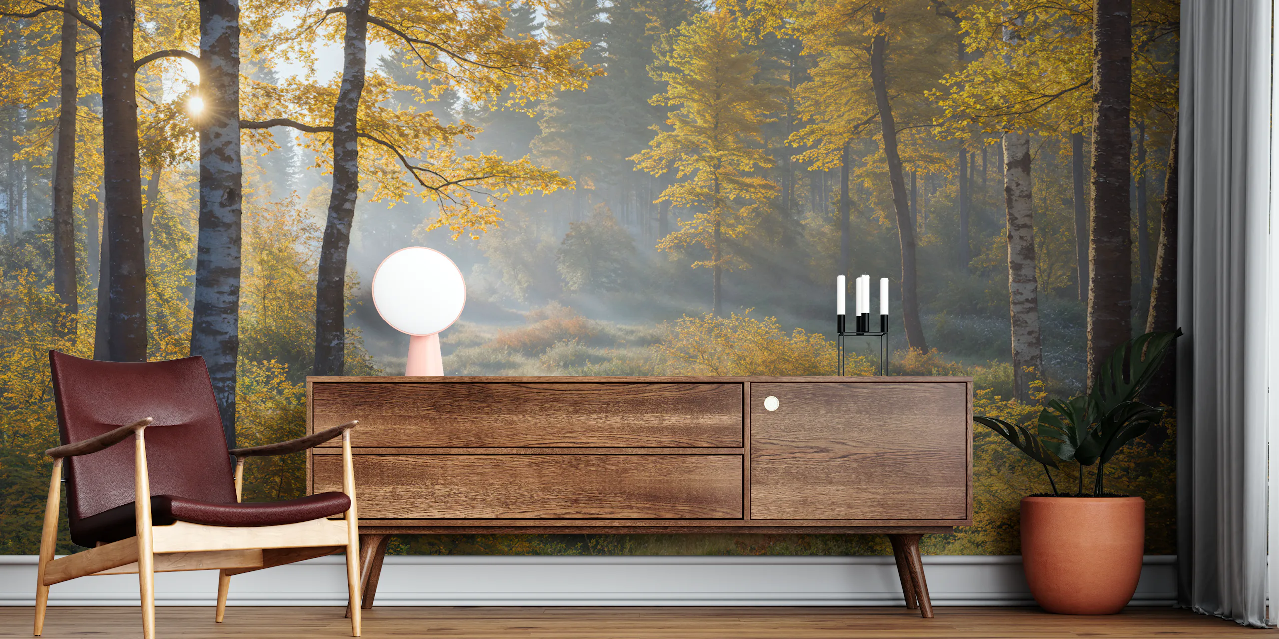 Fall Forest Wallpaper for Autumn Decor