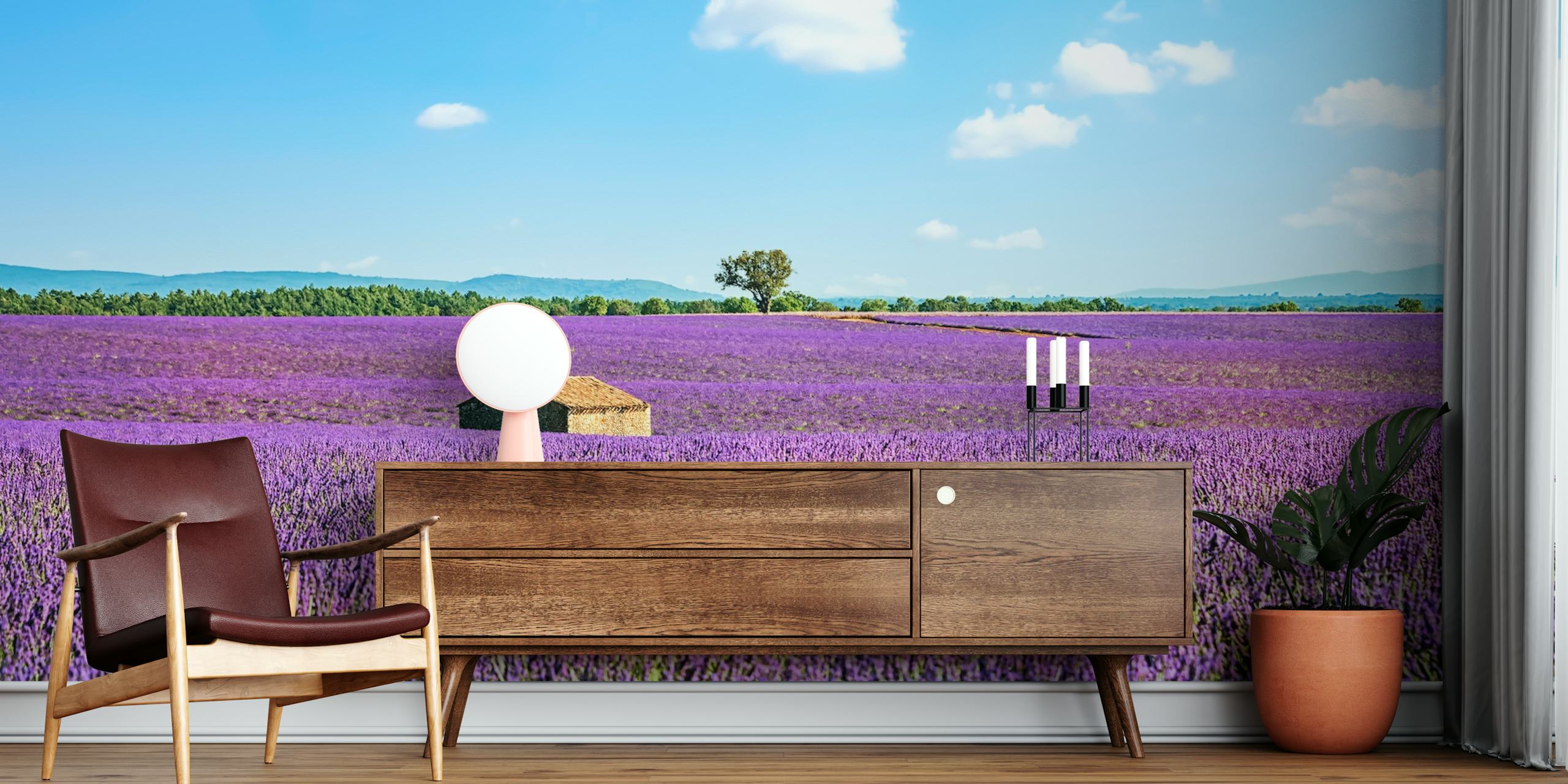 Campi di lavanda della Provenza con murale della fattoria